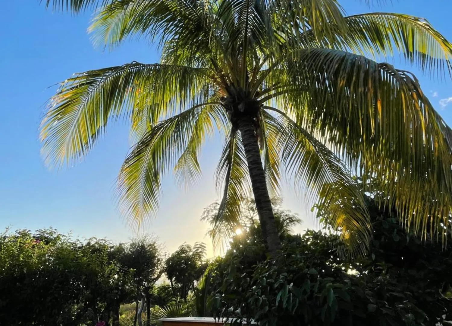דסהייס Villa Nature Caraibe Lodge, Vue Mer, Piscine Privee